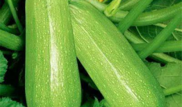 往期吃瓜爆料图片大全,往期吃瓜爆料图片大全回顾